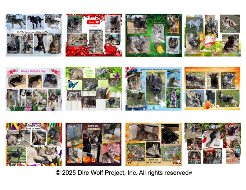 Dire Wolf Project™ Calendar - 2026