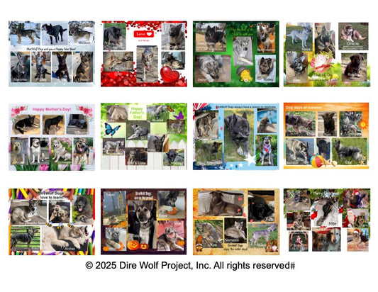 Dire Wolf Project™ Calendar - 2026