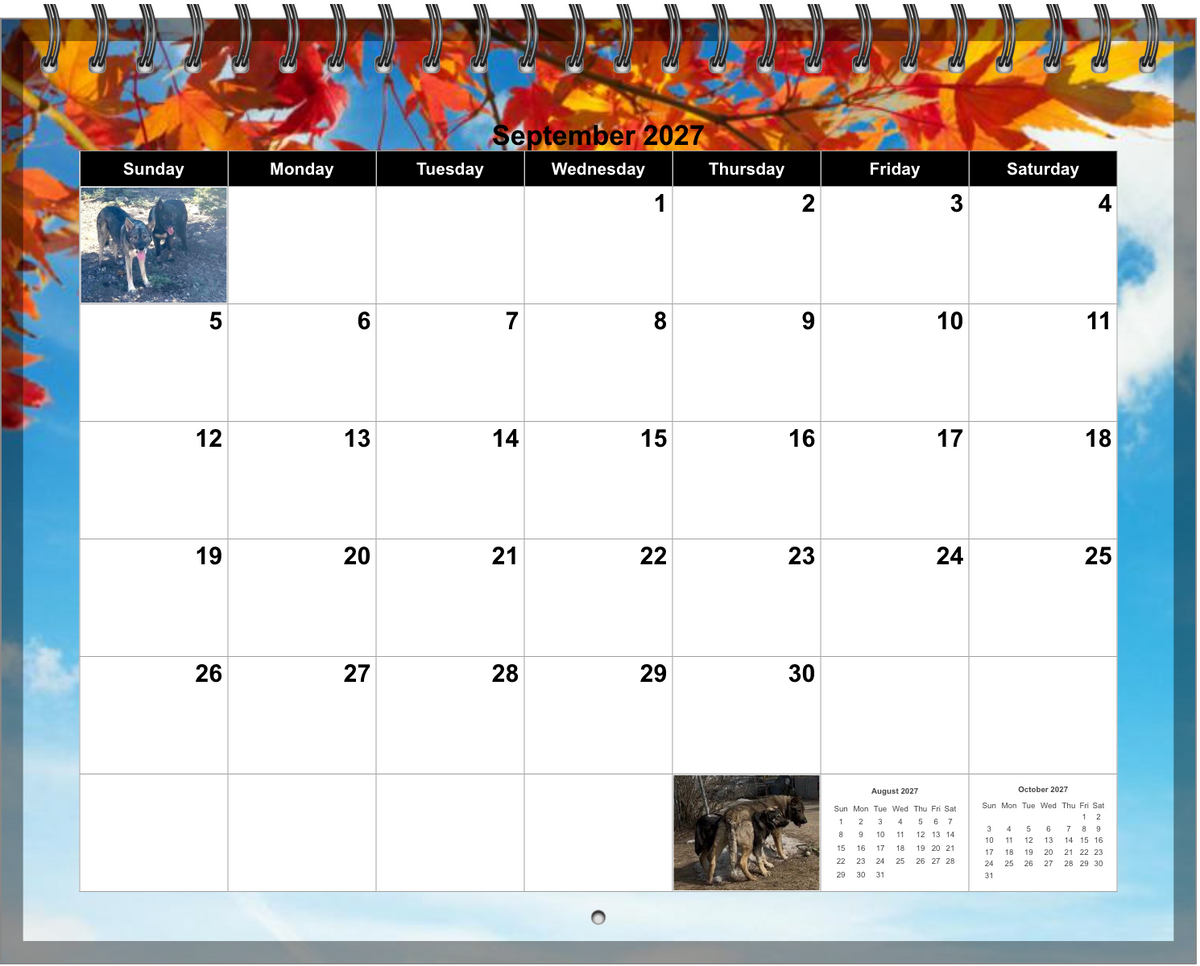 2027 Dire Wolf Project™ Calendar
