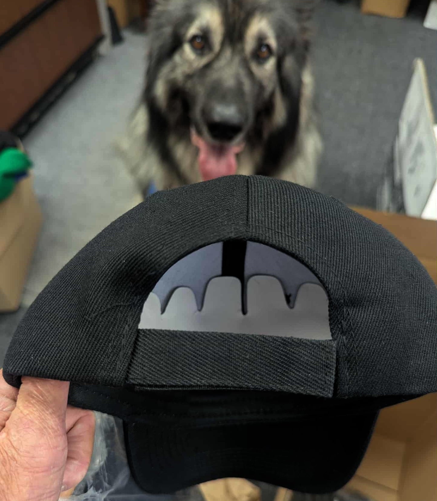 Baseball Cap - Resting Dire Wolf