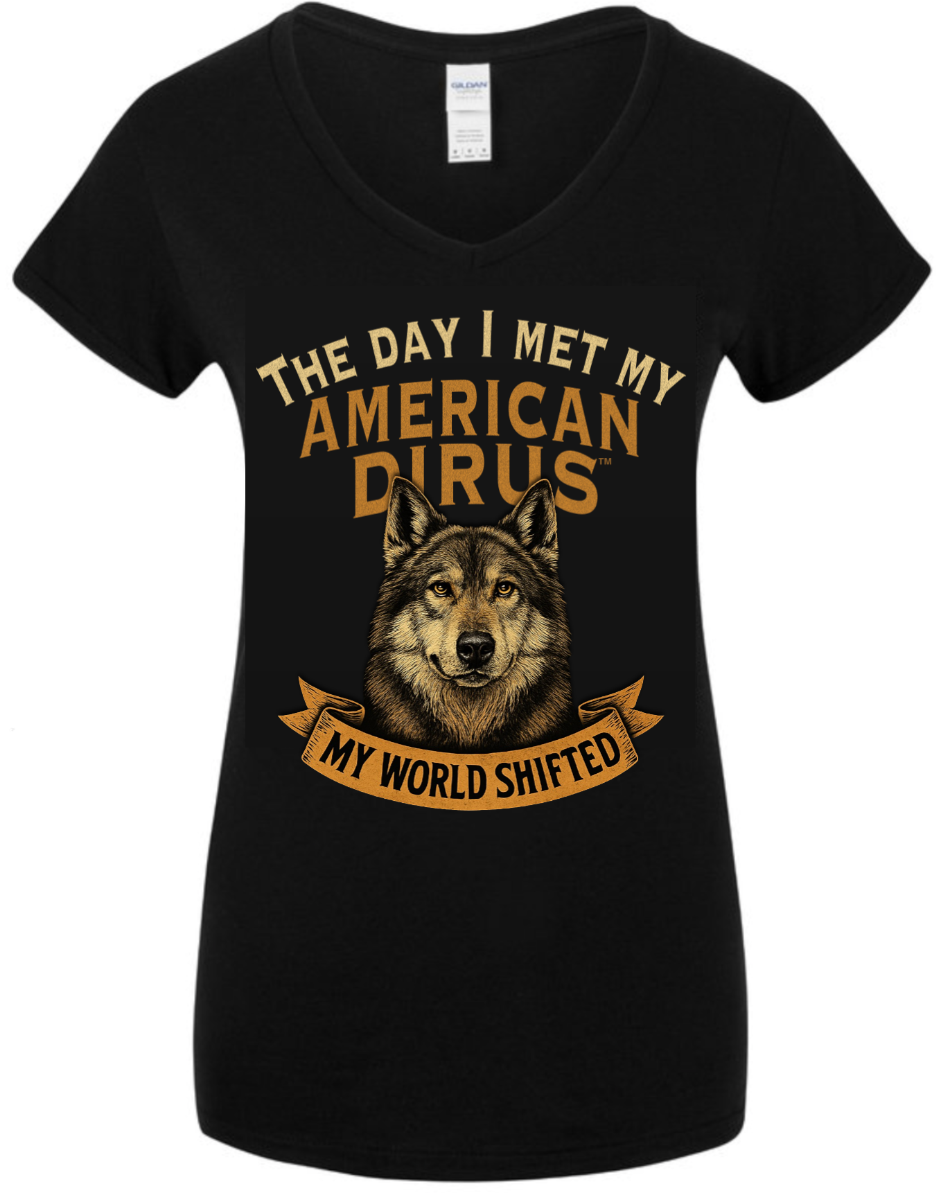 Women's Black V-Neck Cotton T-Shirt - THE DAY I MET MY AMERICAN DIRUS™