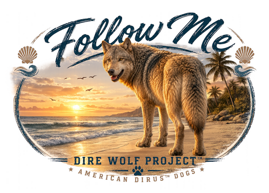 Follow Me Design