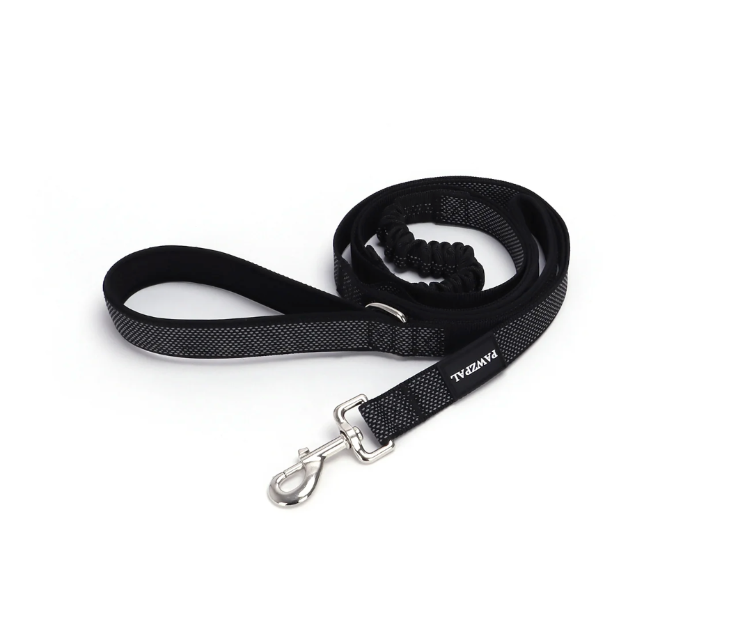 Dire Wolf Project™ Bungee Leash