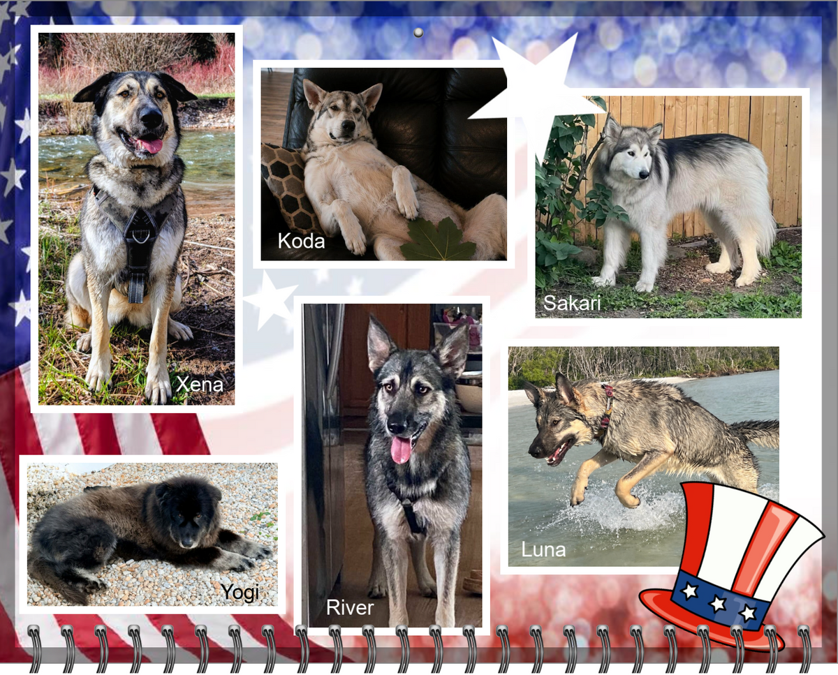 2027 Dire Wolf Project™ Calendar