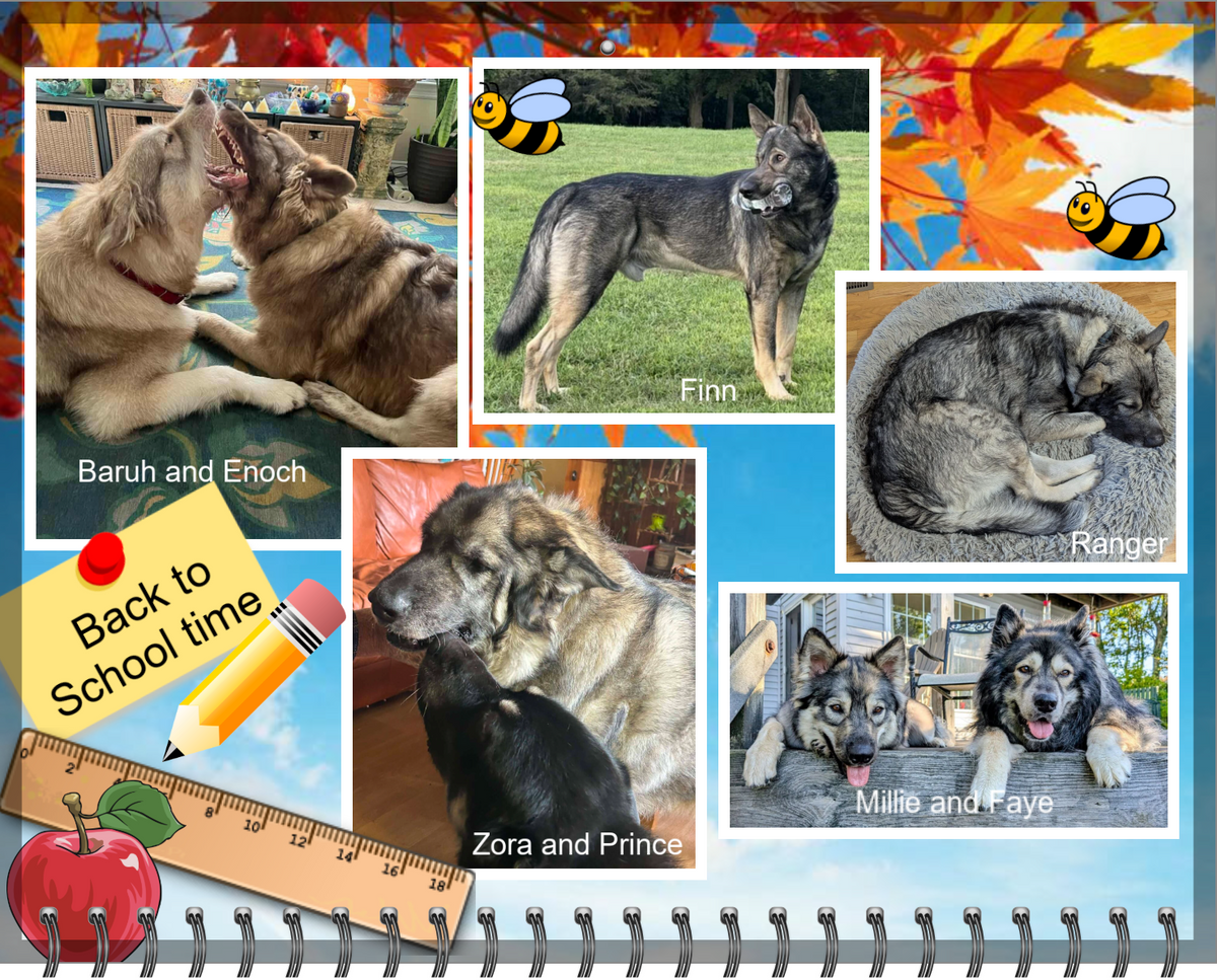 2027 Dire Wolf Project™ Calendar