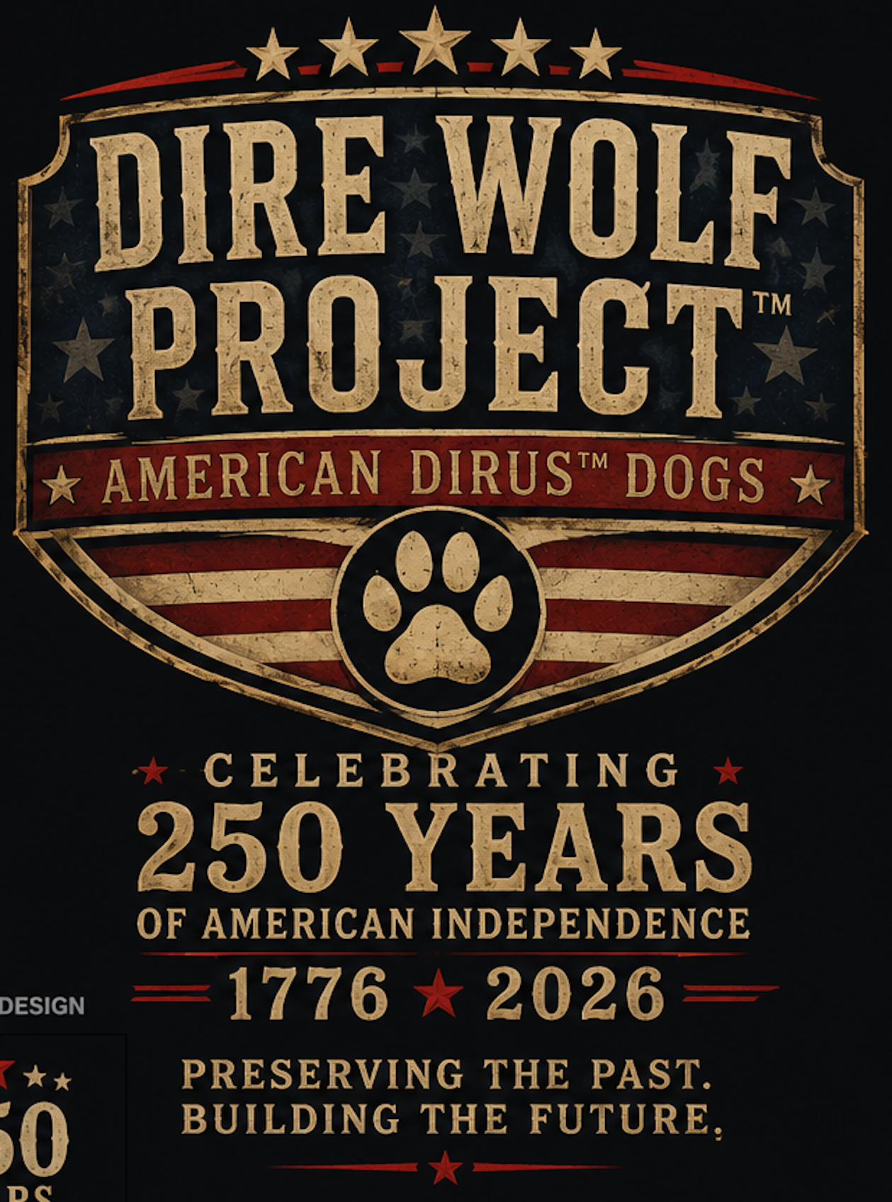 Spirit of America Design